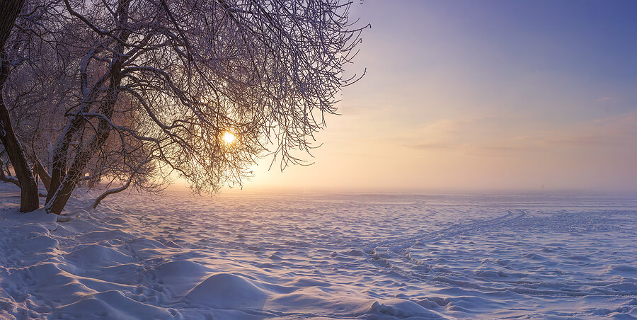 Vitamin D3 & the Winter Months